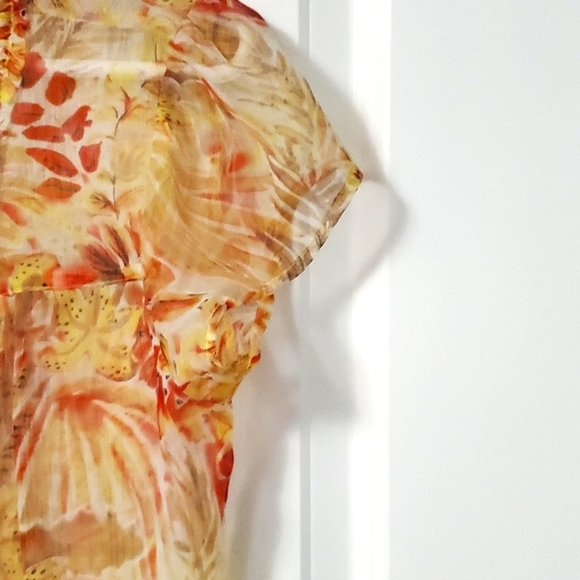 Cleo multicolor short sleeve sheer top - Picture 4 of 6